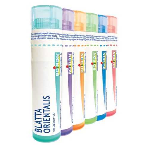BOIRON Blatta orientalis CH9 4 g