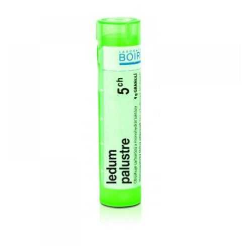 BOIRON Ledum Palustre CH5 4 g