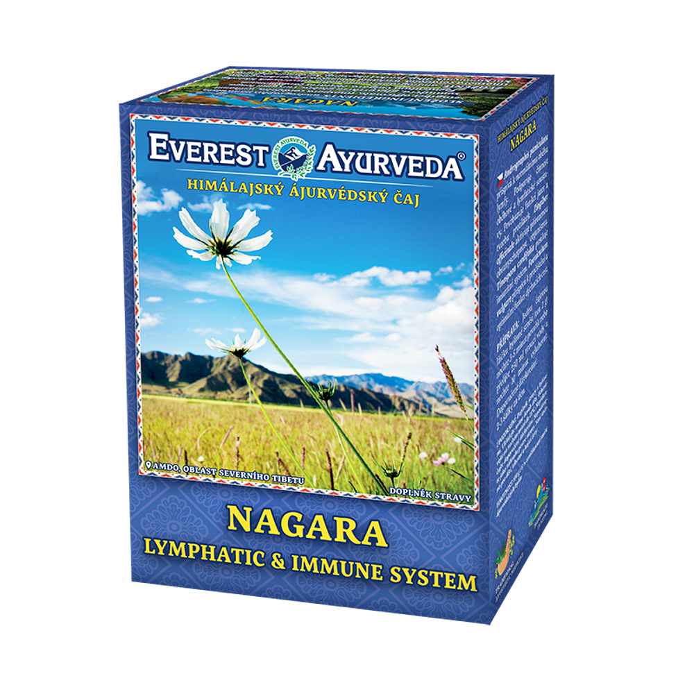 EVEREST AYURVEDA Nagara lymfatický systém a imunita sypaný čaj 100 g